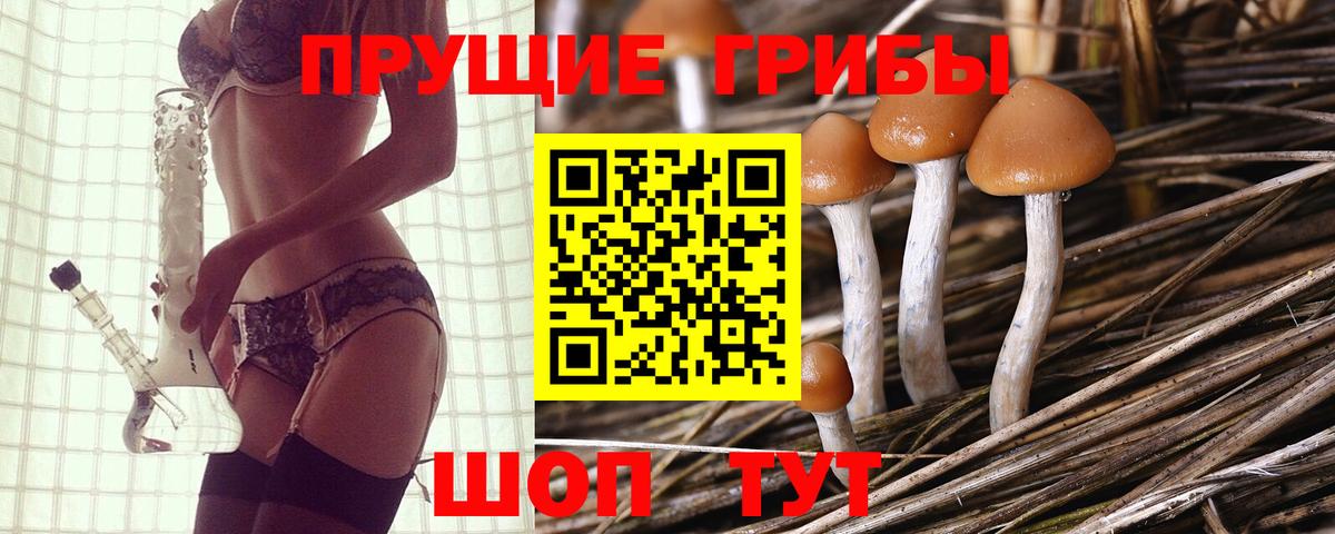 Галлюциногенные грибы мухоморы Норильск