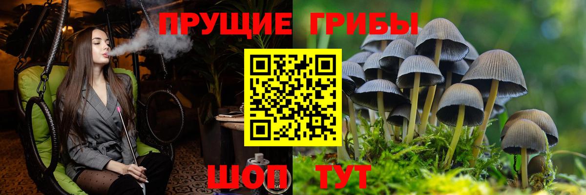 Норильск  Галлюциногенные грибы мухоморы  Вход с VPN  Псилоцибиновые грибы мицелий 